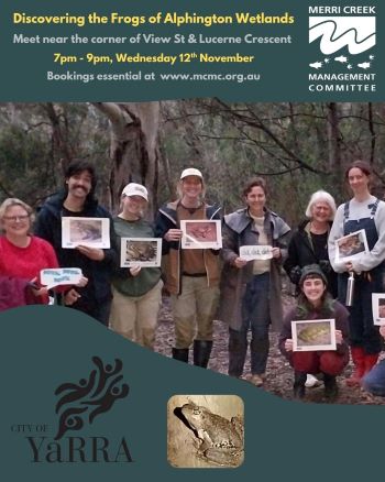 Discovering the Frogs of Alphington Wetlands v2 350px