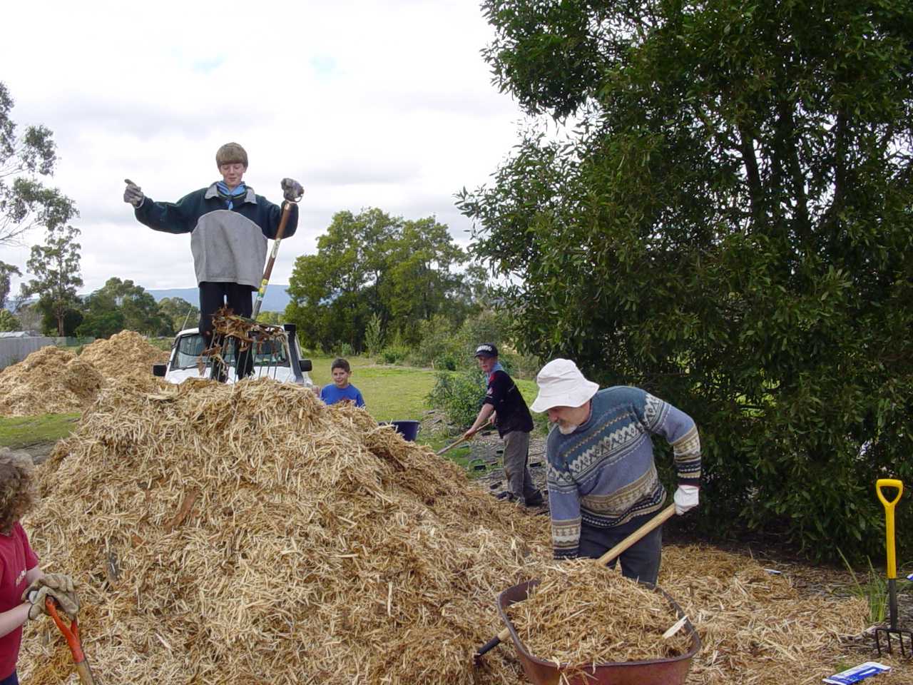 working_bee_July_2005_4