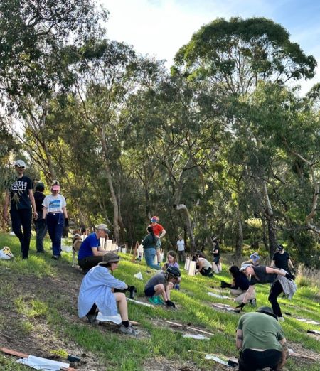 450 px Tate Reserve Planting