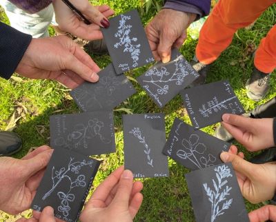 Botanic drawing 400px