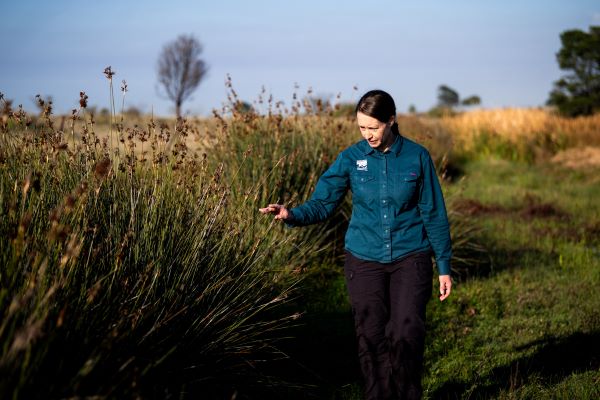 MCMC's Yasmin Kelsall at Curly Sedge Creek. Photograph by Annette Ruzicka Photography..