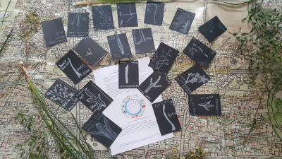 Image of plant drawings