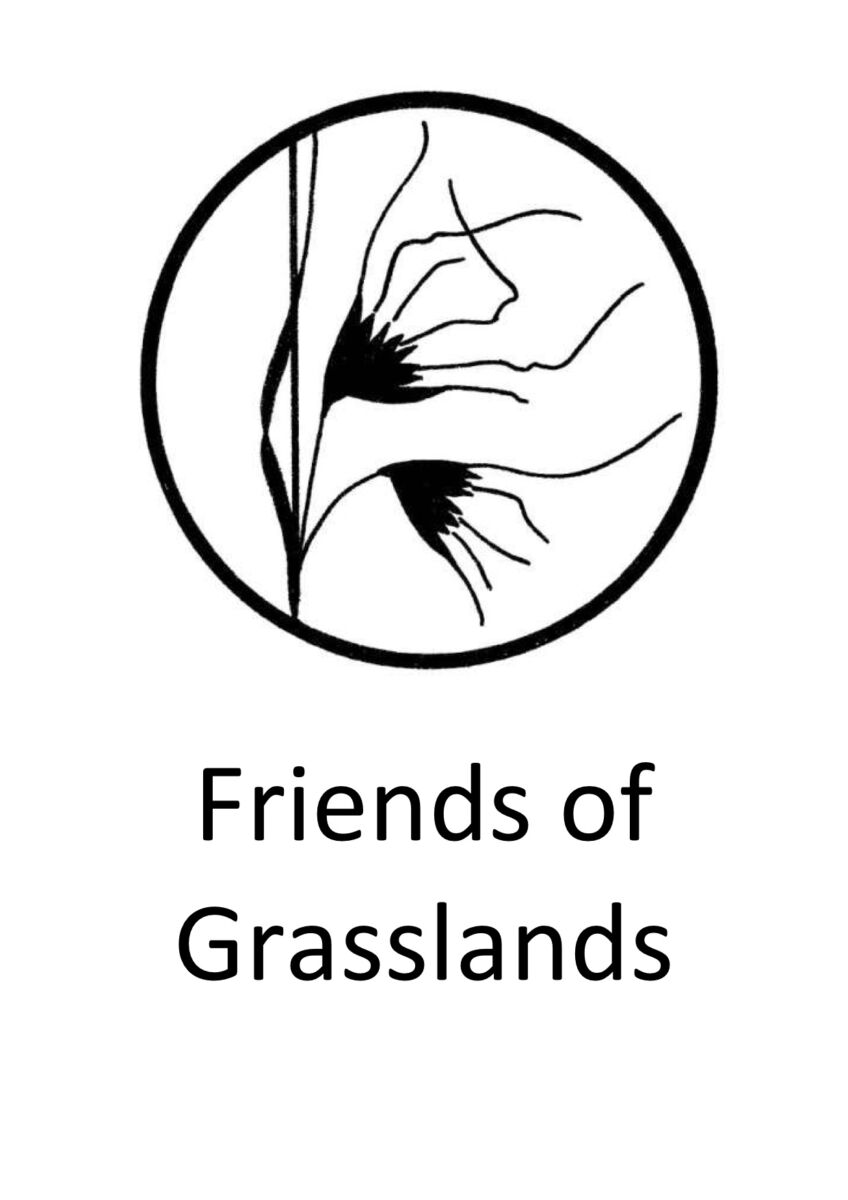 FOG logo