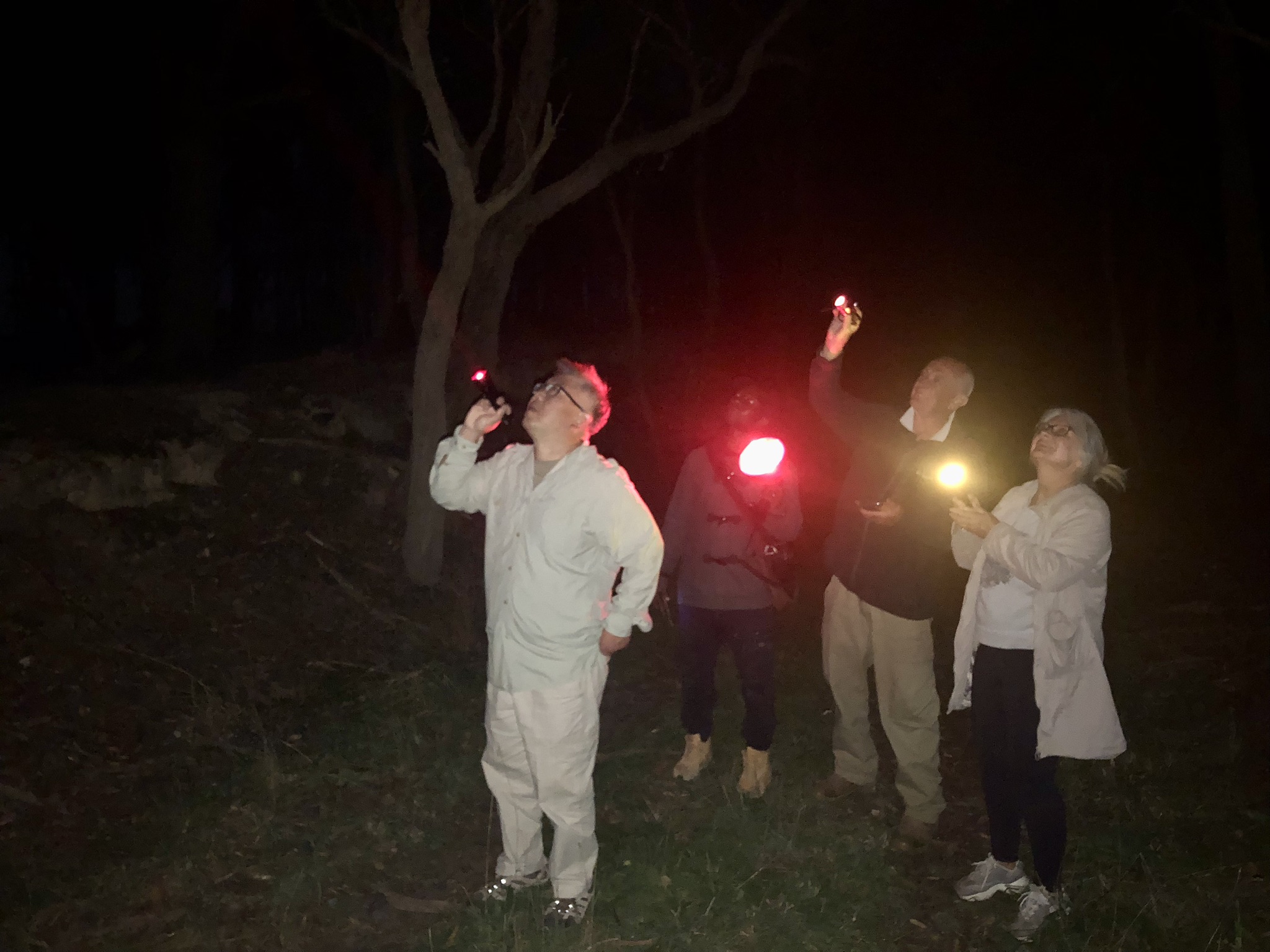 HVES C night walk 2026 2