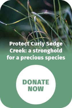 MCM5727 DonateButton 250x375pxpx