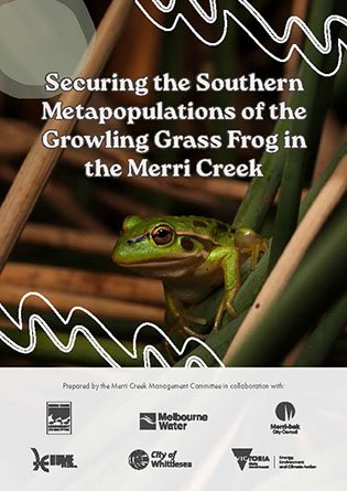 Securing the Southern Metapopulations of the Growling Grass Frog in the Merri Creek