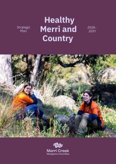 MCMC Strategic Plan 2026 31 cover page 370px