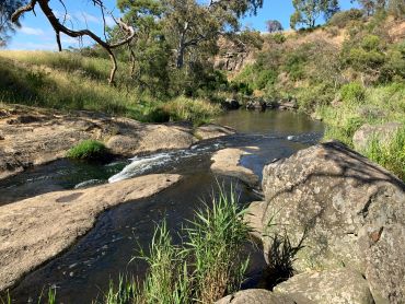 Merri Creek at Galada Tamboore