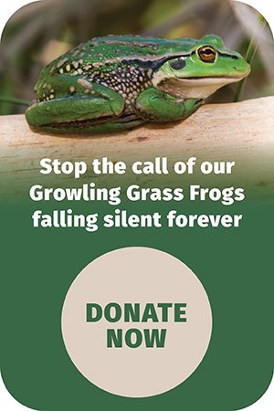 MCM5537 DonateButton 300x450px