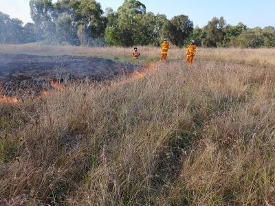 Autumn burn at Bababi djinanang, Fawkner. Photograph by MCMC's Michael Longmore.