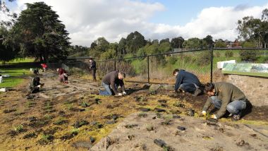 Northcote Gorge 380px
