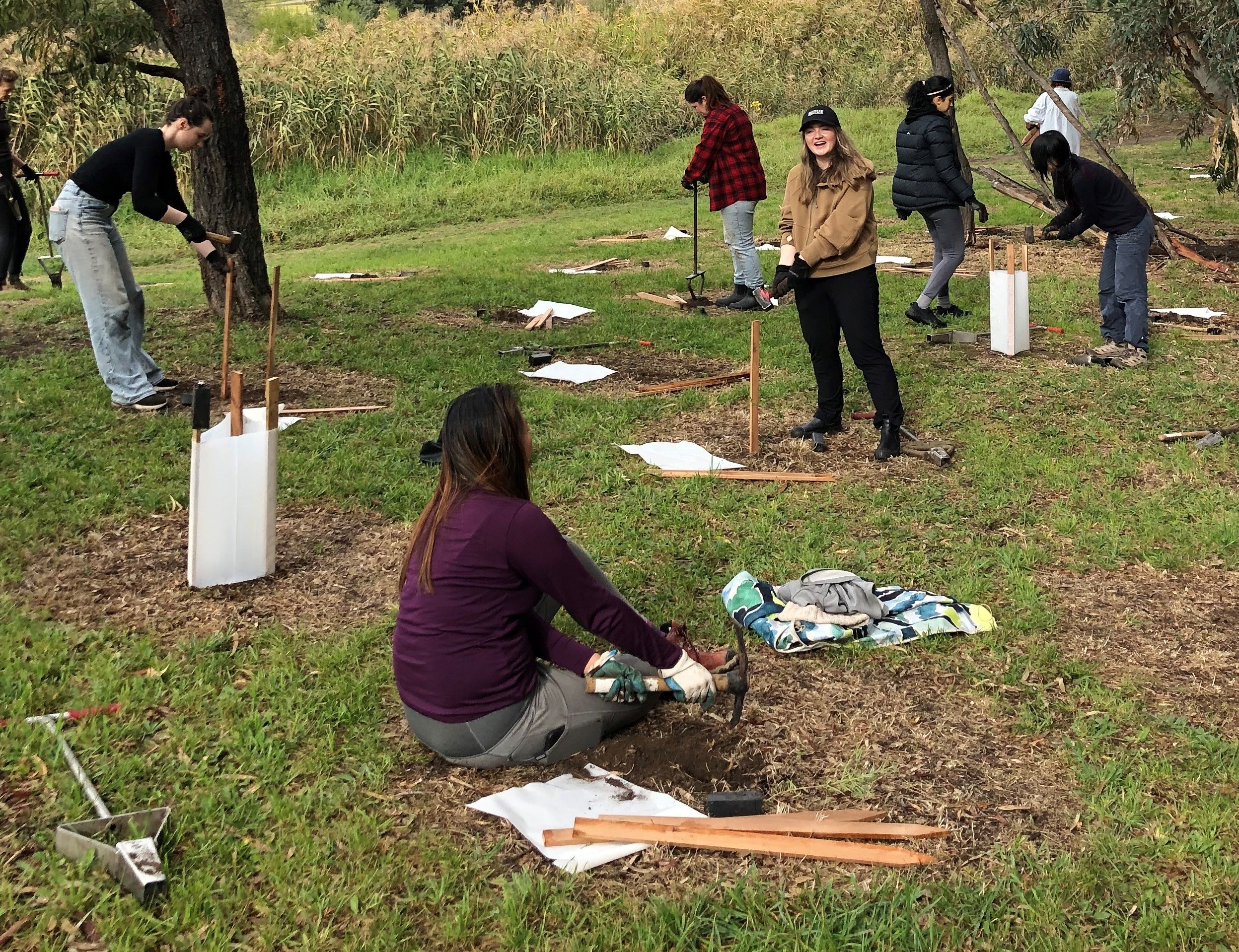 Planting generic 400px