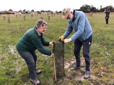 Planting the Tree Banksia Orchard near Bababi Djinanang 400px