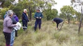 WEG Oct 22 Wildflowers 1