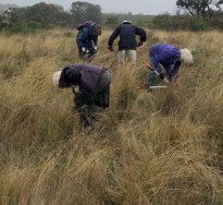 WW Vols Galgi Ngarrk2 24 3 21