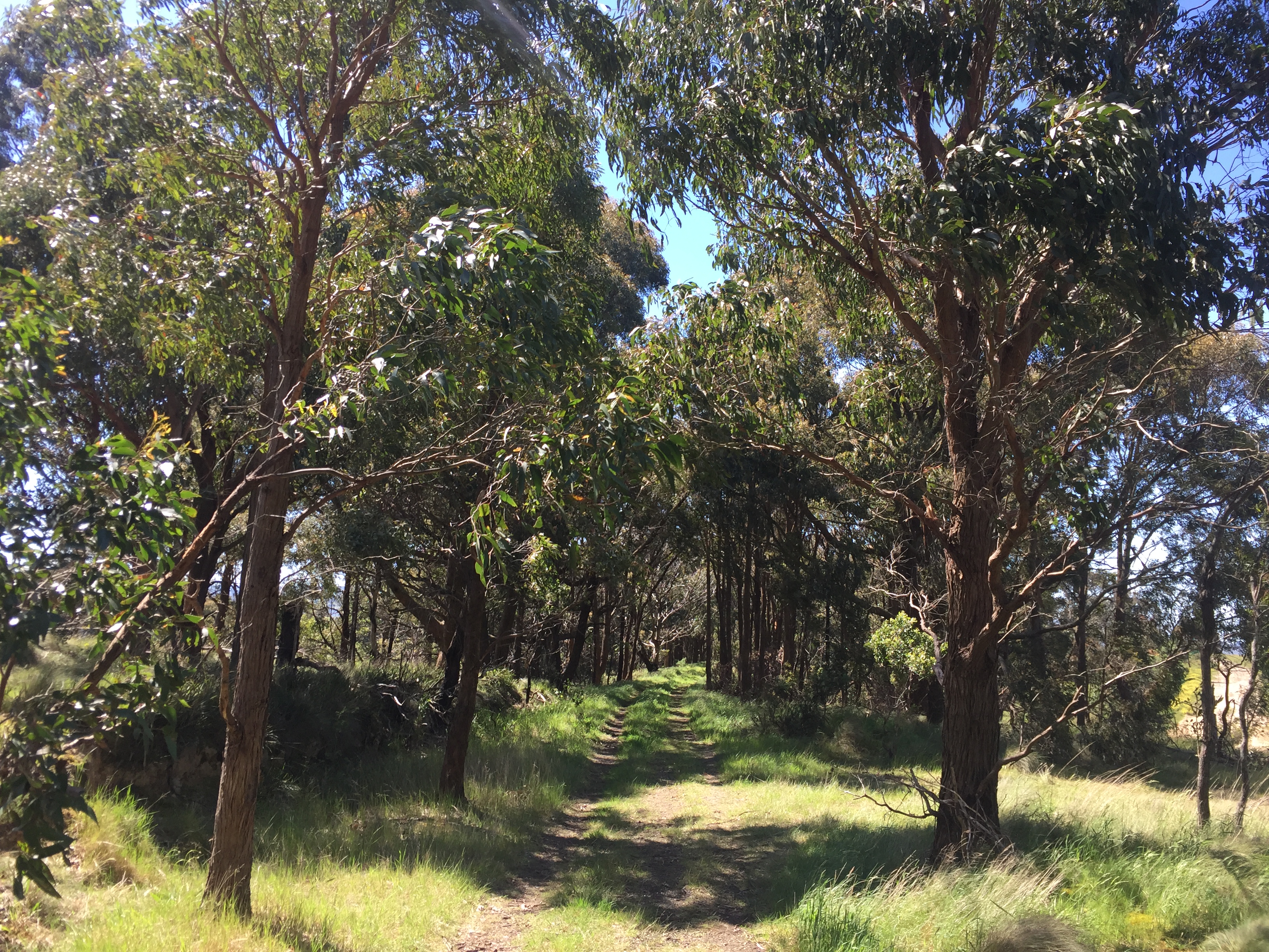 Wallan rail reserve