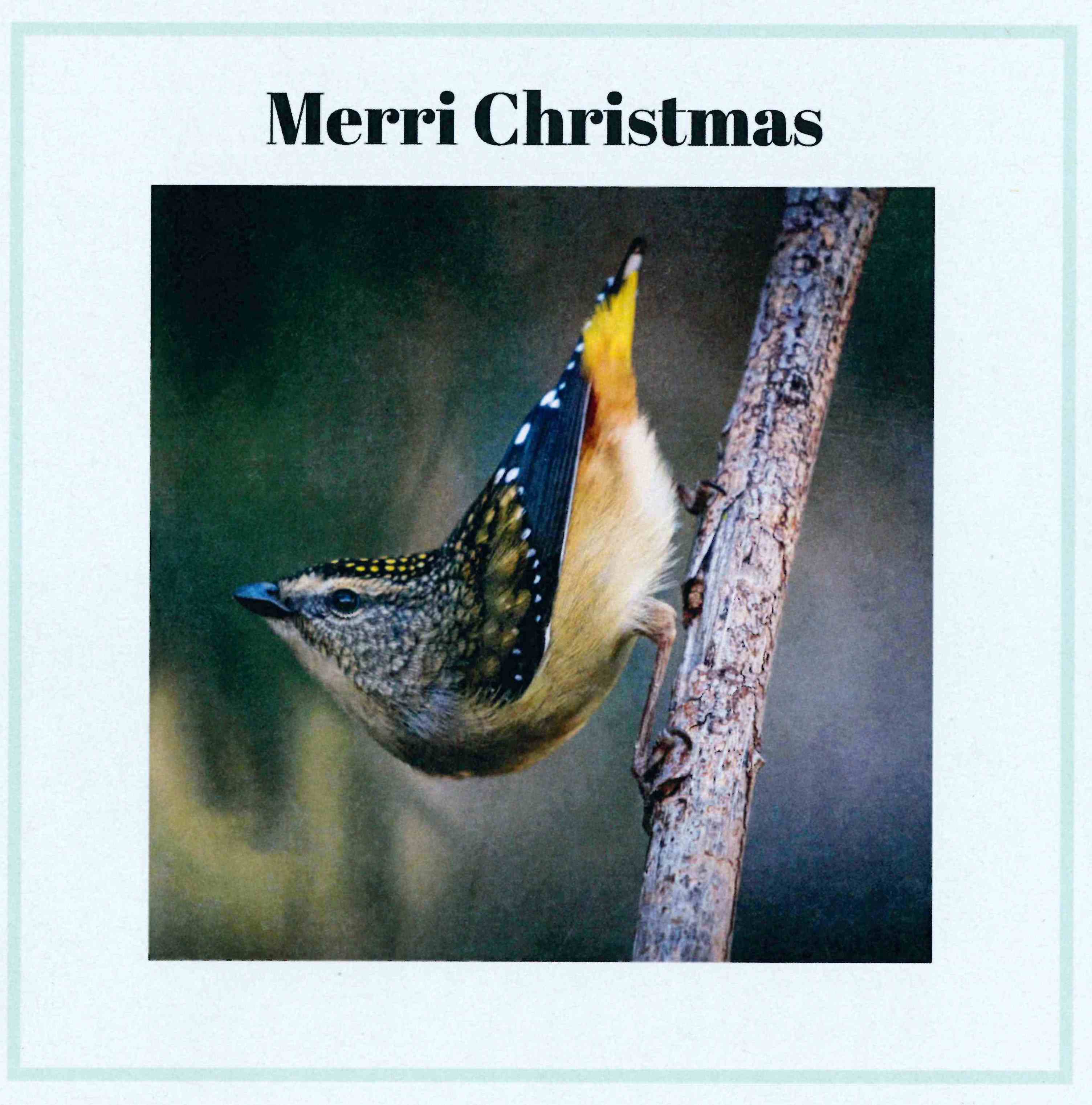 Xmas Card copy
