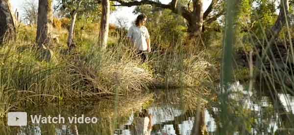 Play video: Growling Grass Frog Appeal