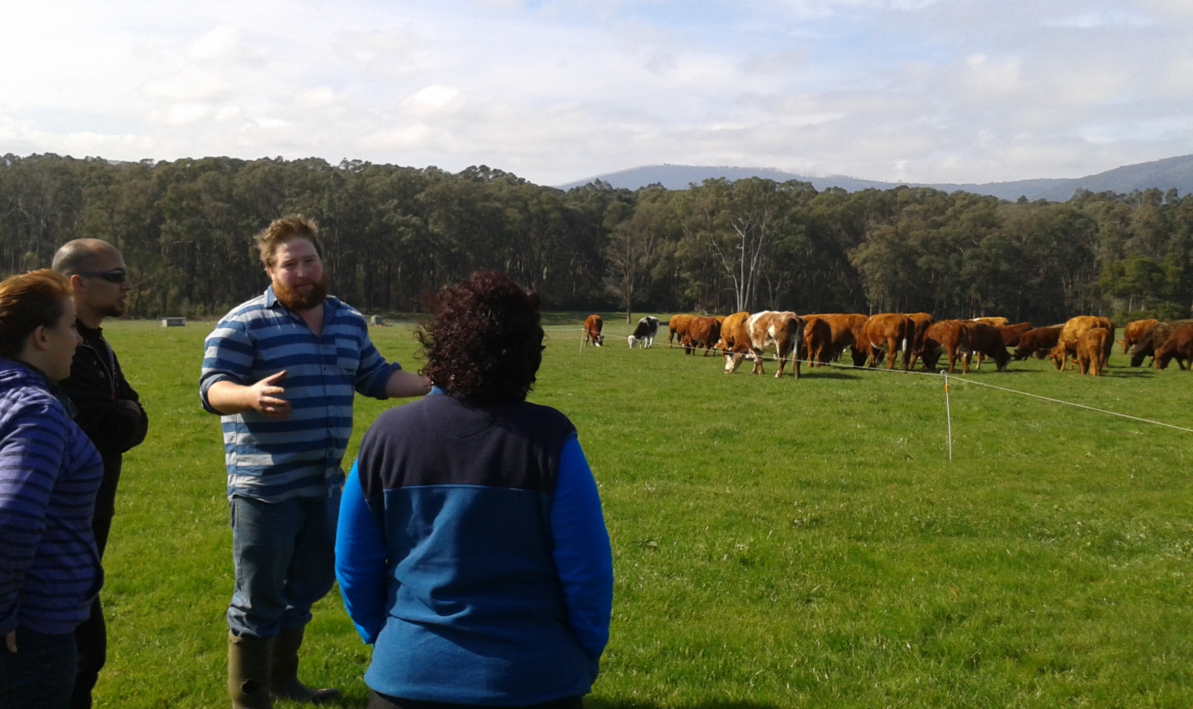 Tafe Toms Paddock